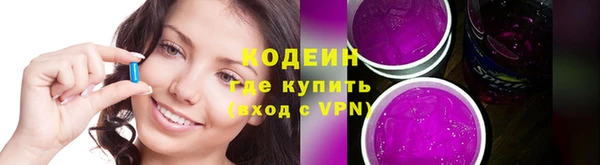 шишки Абаза