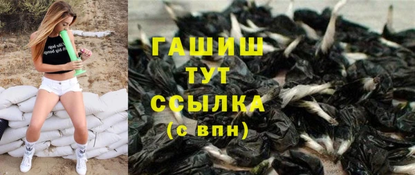 шишки Абаза