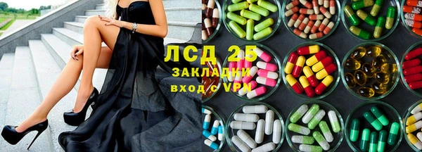 шишки Абаза