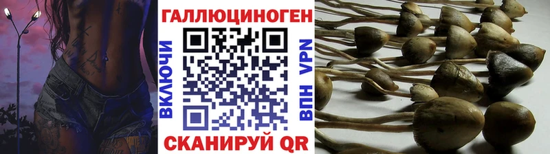 сколько стоит  Уварово  Галлюциногенные грибы MAGIC MUSHROOMS 