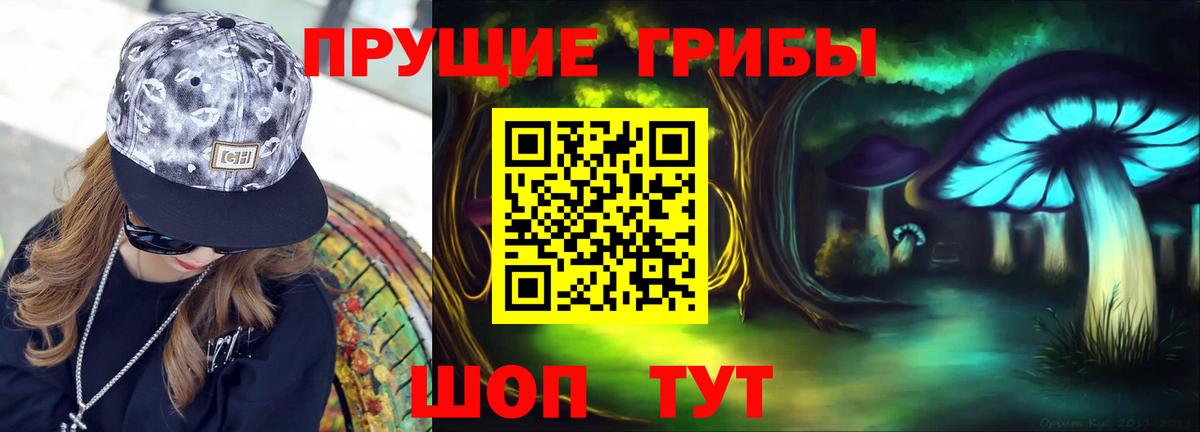 Уварово  Псилоцибиновые грибы прущие грибы  Вход с VPN 