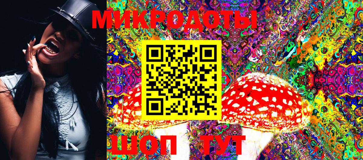 Псилоцибиновые грибы Psilocybine cubensis Уварово